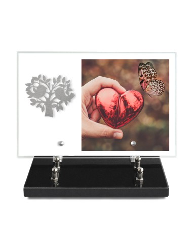 PLAQUE IMPRIMEE 20X30 SANS TEXTE +...