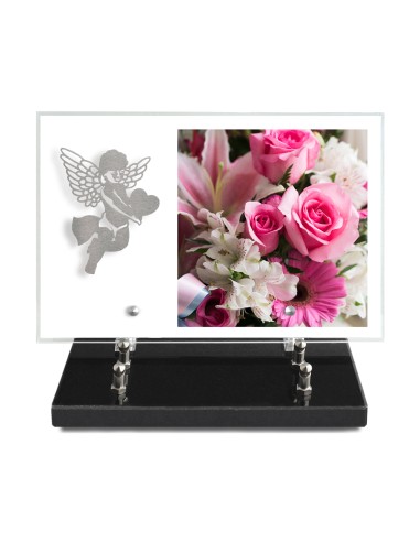 PLAQUE IMPRIMEE 20X30 SANS TEXTE +...