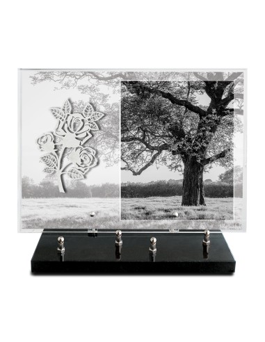 PLAQUE IMPRIMEE 25X35 SANS TEXTE +...