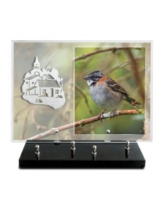 PLAQUE IMPRIMEE 25X35 SANS...