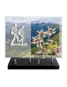PLAQUE IMPRIMEE 25X35 SANS...