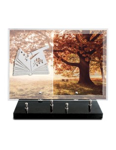 PLAQUE IMPRIMEE 25X35 SANS...