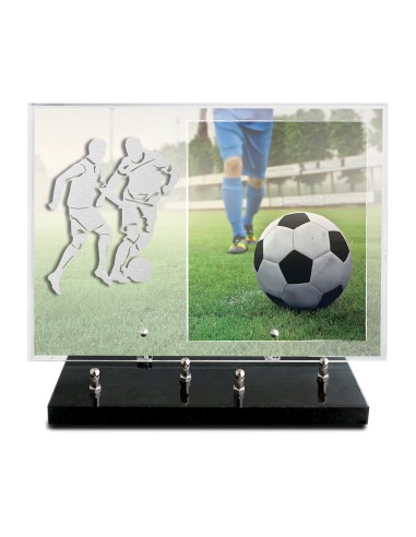 PLAQUE IMPRIMEE 25X35 SANS TEXTE +...