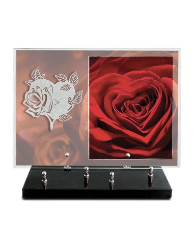 PLAQUE IMPRIMEE 25X35 SANS TEXTE +...