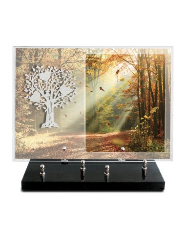 PLAQUE IMPRIMEE 25X35 SANS TEXTE +...
