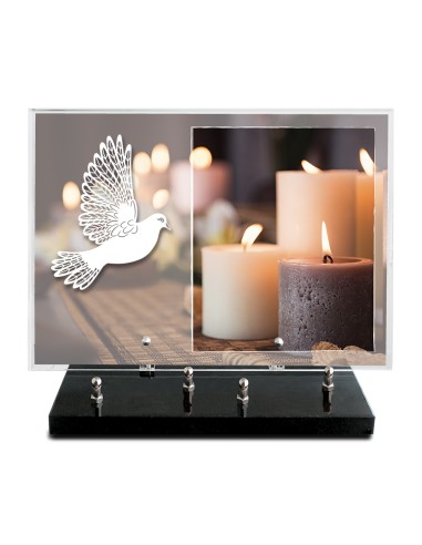 PLAQUE IMPRIMEE 25X35 SANS TEXTE +...