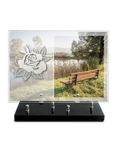 PLAQUE IMPRIMEE 25X35 SANS TEXTE +...