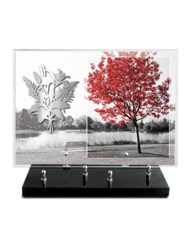 PLAQUE IMPRIMEE 25X35 SANS TEXTE +...