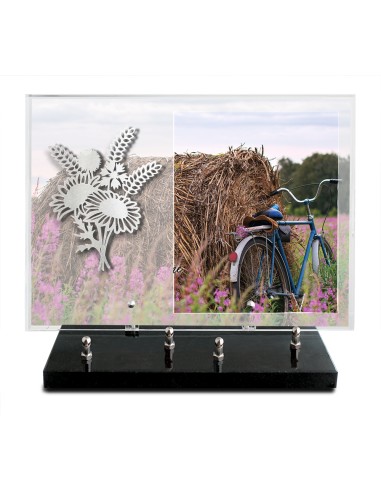 PLAQUE IMPRIMEE 25X35 SANS TEXTE +...