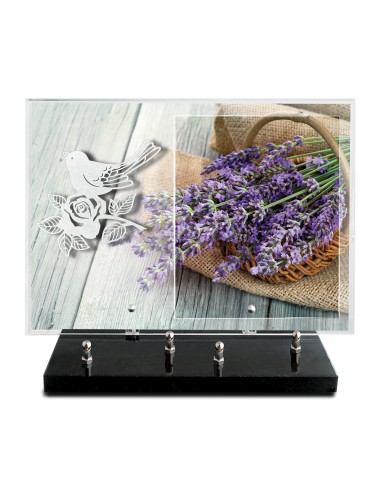 PLAQUE IMPRIMEE 25X35 SANS TEXTE +...