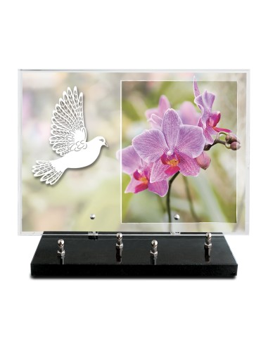 PLAQUE IMPRIMEE 25X35 SANS TEXTE +...