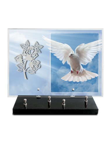 PLAQUE IMPRIMEE 25X35 SANS TEXTE +...