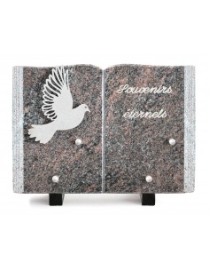 PLAQUE GRANIT LIVRE 17X25CM...