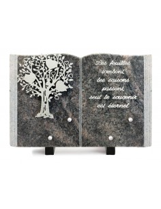 PLAQUE GRANIT LIVRE 20X30CM...