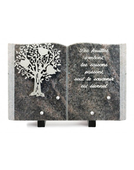 PLAQUE GRANIT LIVRE 20X30CM DECOR INOX +TEXTE ARGENT