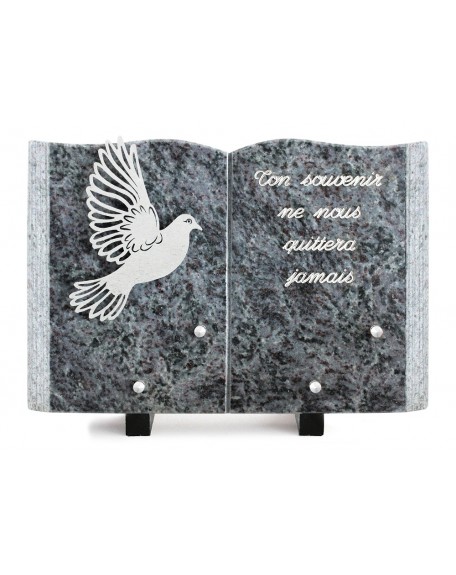 PLAQUE GRANIT LIVRE 20X30CM DECOR INOX +TEXTE ARGENT