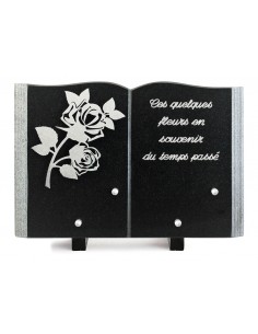 PLAQUE GRANIT LIVRE 20X30CM...