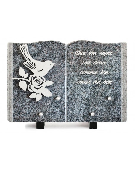 PLAQUE GRANIT LIVRE 20X30CM DECOR INOX +TEXTE ARGENT