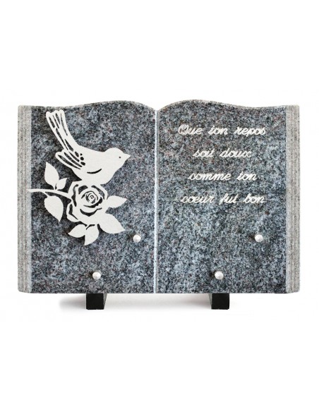 PLAQUE GRANIT LIVRE 20X30CM DECOR INOX +TEXTE ARGENT