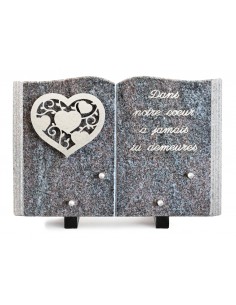 PLAQUE GRANIT LIVRE 20X30CM...