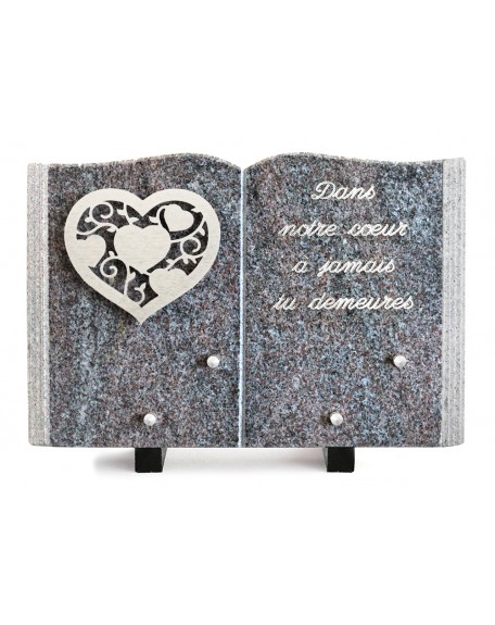 PLAQUE GRANIT LIVRE 20X30CM DECOR INOX +TEXTE ARGENT