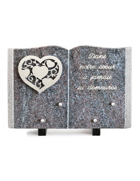 PLAQUE GRANIT LIVRE 20X30CM DECOR INOX +TEXTE ARGENT