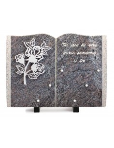 PLAQUE GRANIT LIVRE 25X35CM...