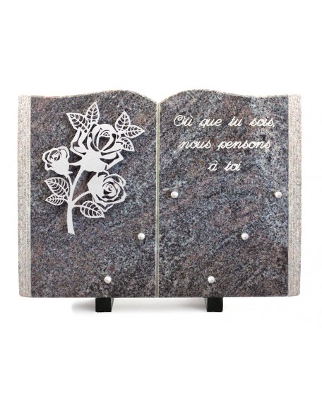 PLAQUE GRANIT LIVRE 25X35CM DECOR INOX +TEXTE ARGENT