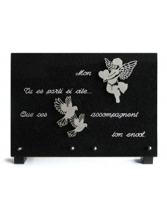 PLAQUE GRANIT NOIR 25X35CM...