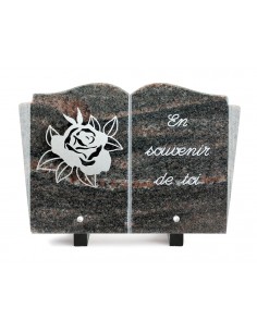 PLAQUE GRANIT LIVRE 20X30...