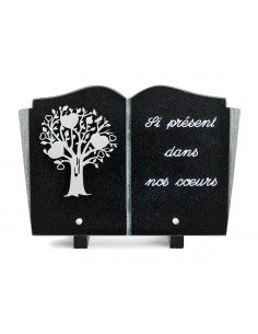 PLAQUE GRANIT LIVRE 20X30...