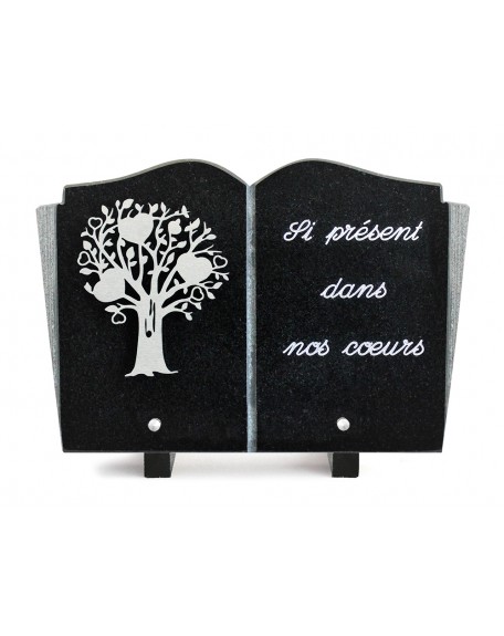 PLAQUE GRANIT LIVRE 20X30 INOX + TEXTE ARGENT