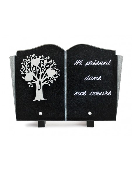 PLAQUE GRANIT LIVRE 20X30 INOX + TEXTE ARGENT