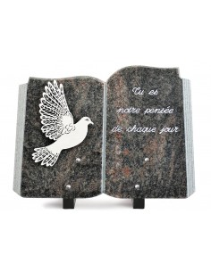 PLAQUE GRANIT LIVRE 25X35...