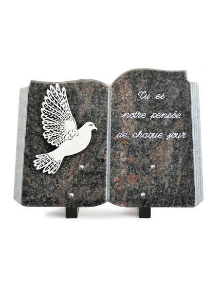 PLAQUE GRANIT LIVRE 25X35 INOX + TEXTE ARGENT