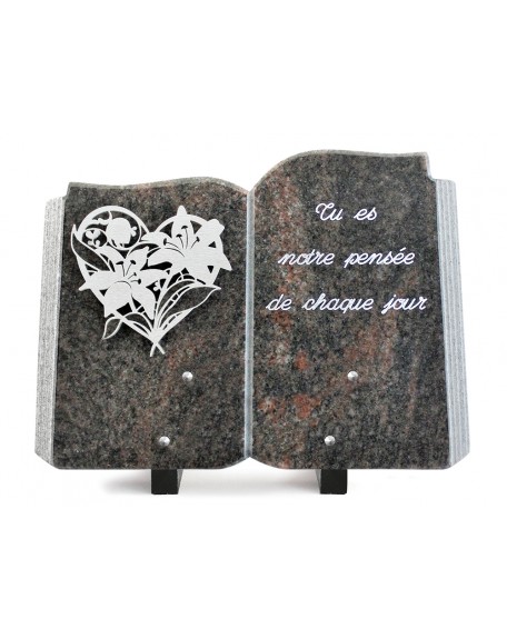 PLAQUE GRANIT LIVRE 25X35 INOX + TEXTE ARGENT