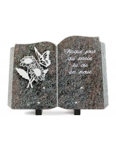 PLAQUE GRANIT LIVRE 25X35...