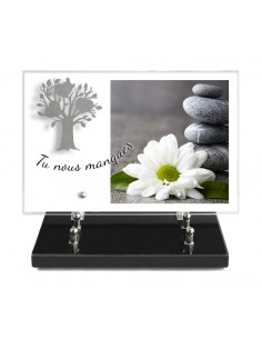 PLAQUE IMPRIMEE 20X30 +...