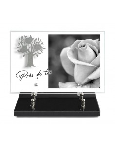 PLAQUE IMPRIMEE 20X30 +...