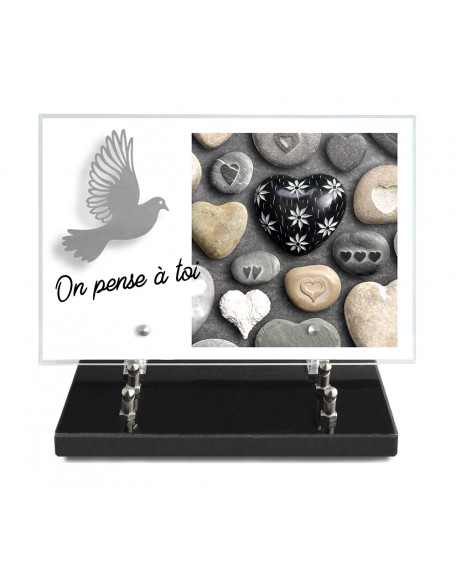 PLAQUE IMPRIMEE 20X30 + MOTIF INOX COLOMBE