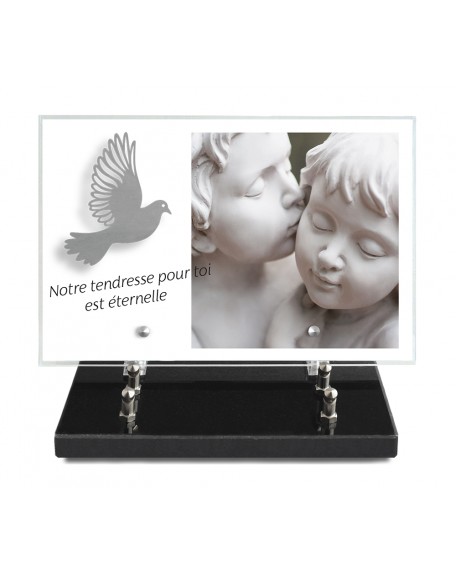 PLAQUE IMPRIMEE 20X30 + MOTIF INOX COLOMBE