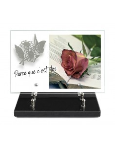 PLAQUE IMPRIMEE 20X30 +...