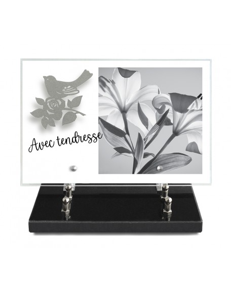 PLAQUE IMPRIMEE 20X30 + MOTIF INOX OISEAU