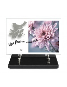 PLAQUE IMPRIMEE 20X30 +...
