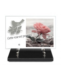 PLAQUE IMPRIMEE 20X30 +...