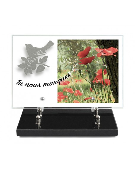 PLAQUE IMPRIMEE 20X30 + MOTIF INOX OISEAU