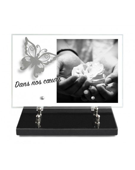 PLAQUE IMPRIMEE 20X30 + MOTIF INOX PAPILLON