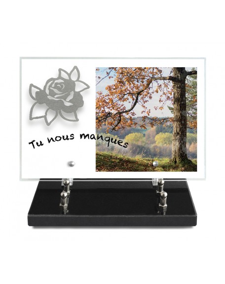 PLAQUE IMPRIMEE 20X30 + MOTIF INOX ROSE