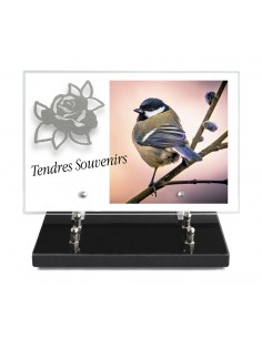 PLAQUE IMPRIMEE 20X30 +...