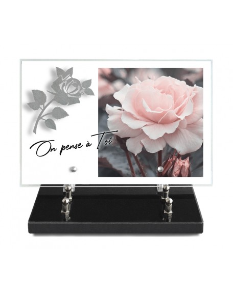 PLAQUE IMPRIMEE 20X30 + MOTIF INOX ROSE